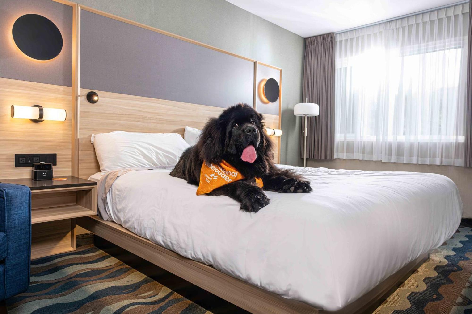 Accent Inns Vancouver Airport Ричмонд Экстерьер фото